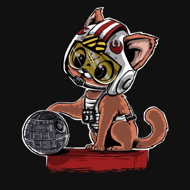 DESTROYING THE DEATH STAR