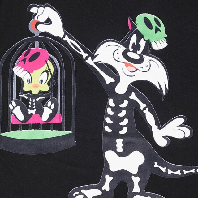 Freeze Max Looney Tunes  Sylvester